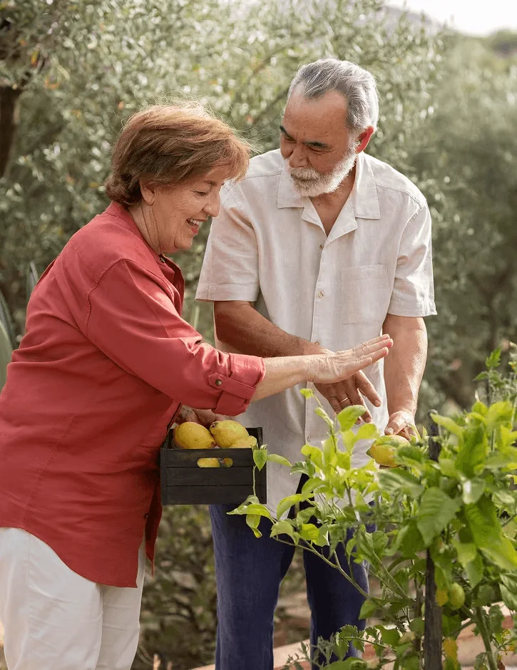 An active older couple gardening together outdoors